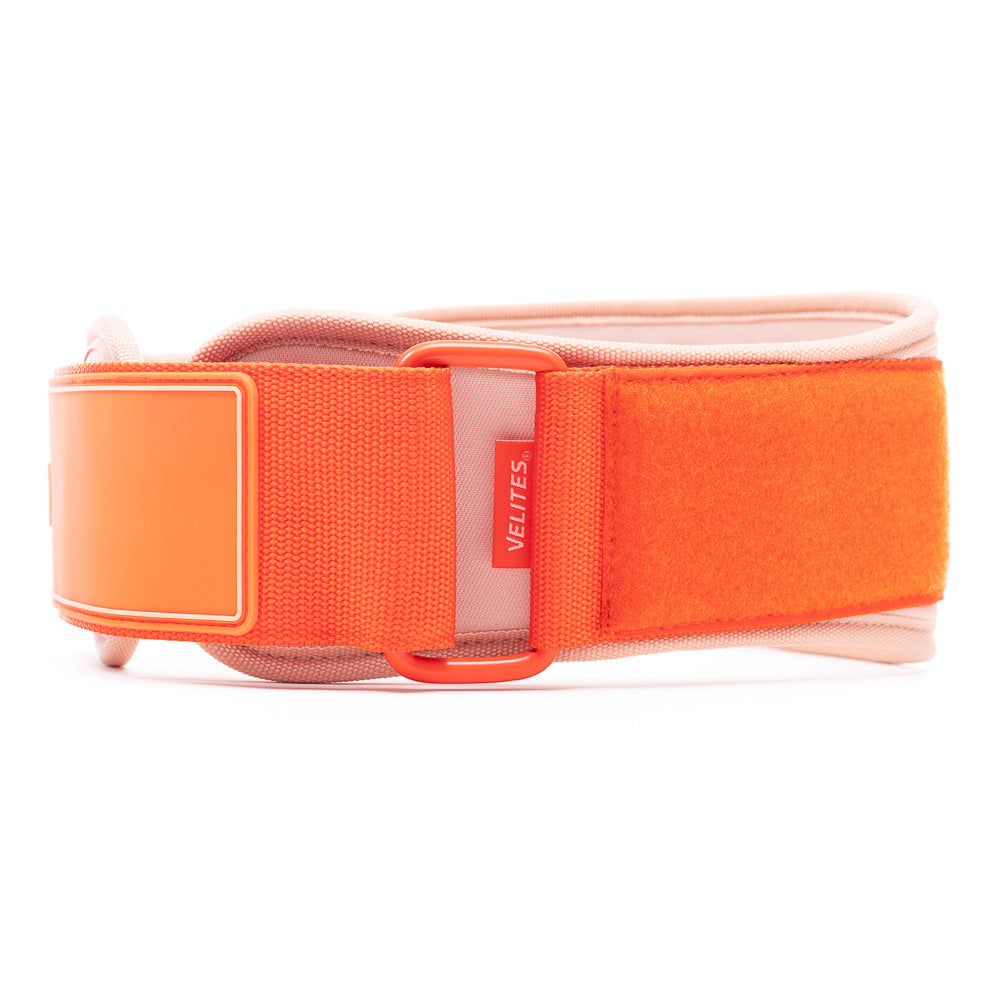 Ceinture haltéro hotsell